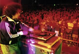 Meredith Music Festival Images