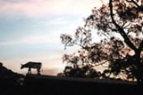 Meredith Music Festival Images