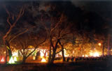 Meredith Music Festival Images